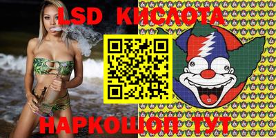 прущий лед Кингисепп