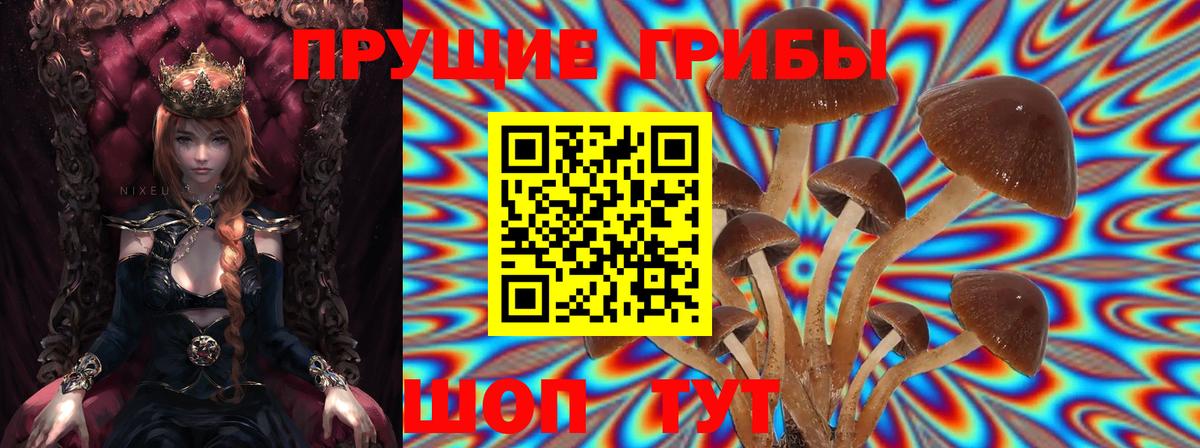 Псилоцибиновые грибы мицелий Ханты-Мансийск